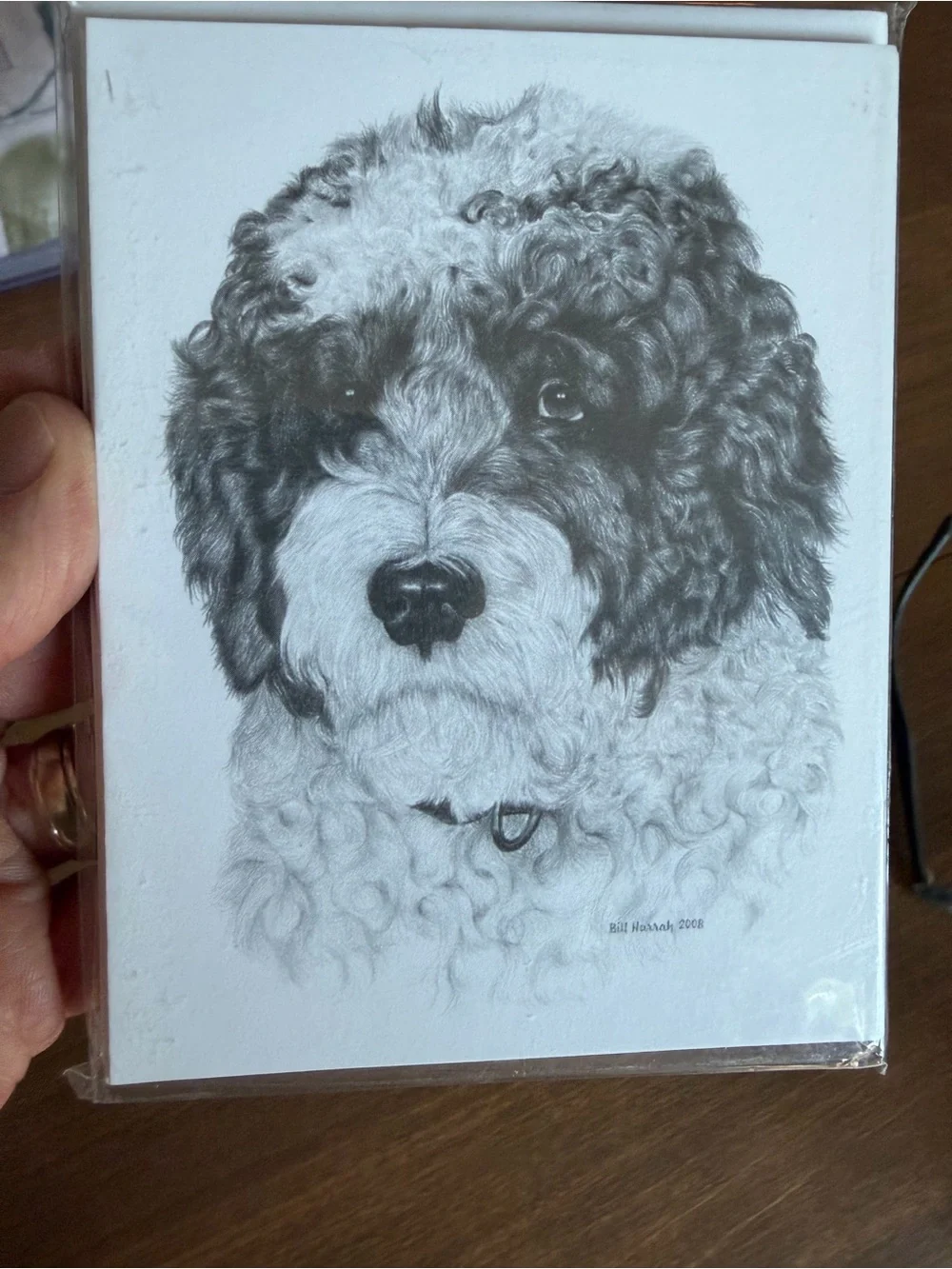 Portuguese Water Dog Note Cards (8) Fine Art Drawing
